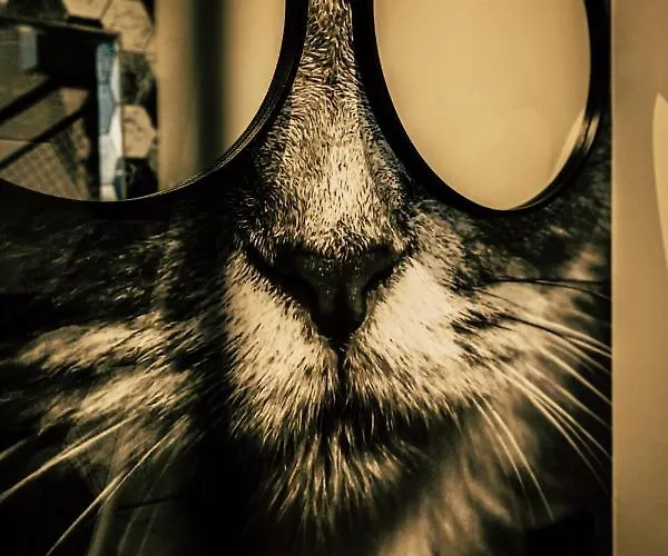 Boutique Old School Appartement Söll